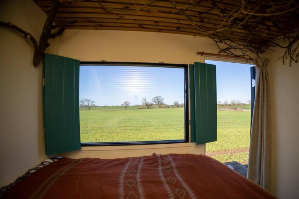 'Pipistrelle' Remote Off-Grid Micro Cabin Villa Sedgefield Exterior photo